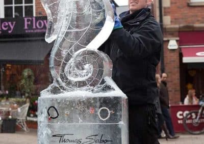 Ice Carving & Sculpturing