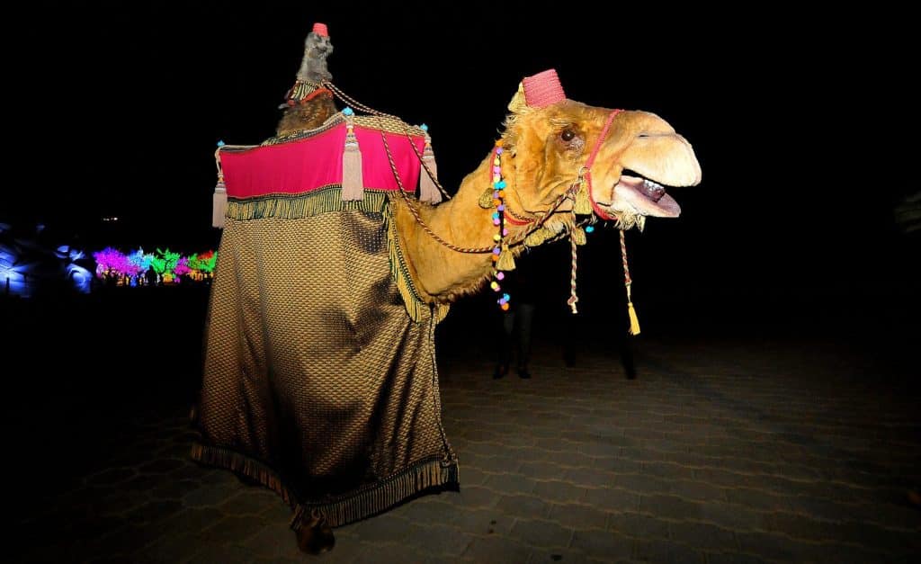 meerkat sitting atop an Animatronic Puppet Camel as part of puppetry entertainment